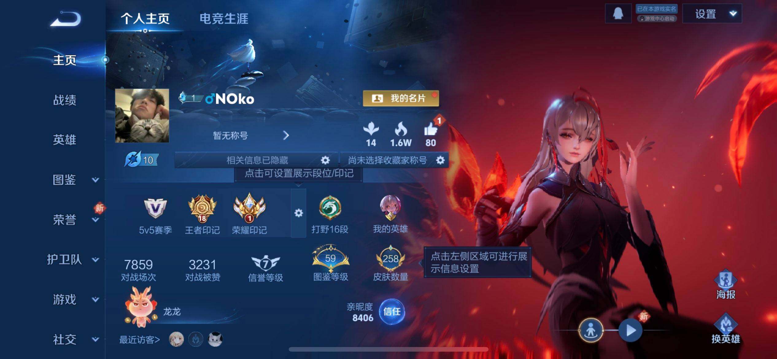 WZQM497492王者荣耀账号详情图3