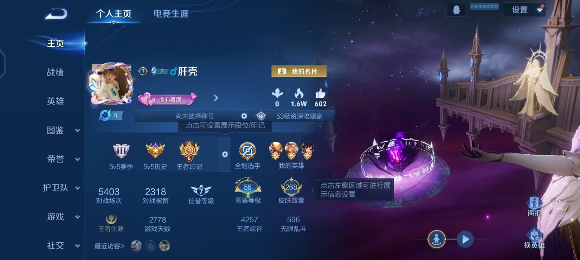 WZQM497490王者荣耀账号详情图3