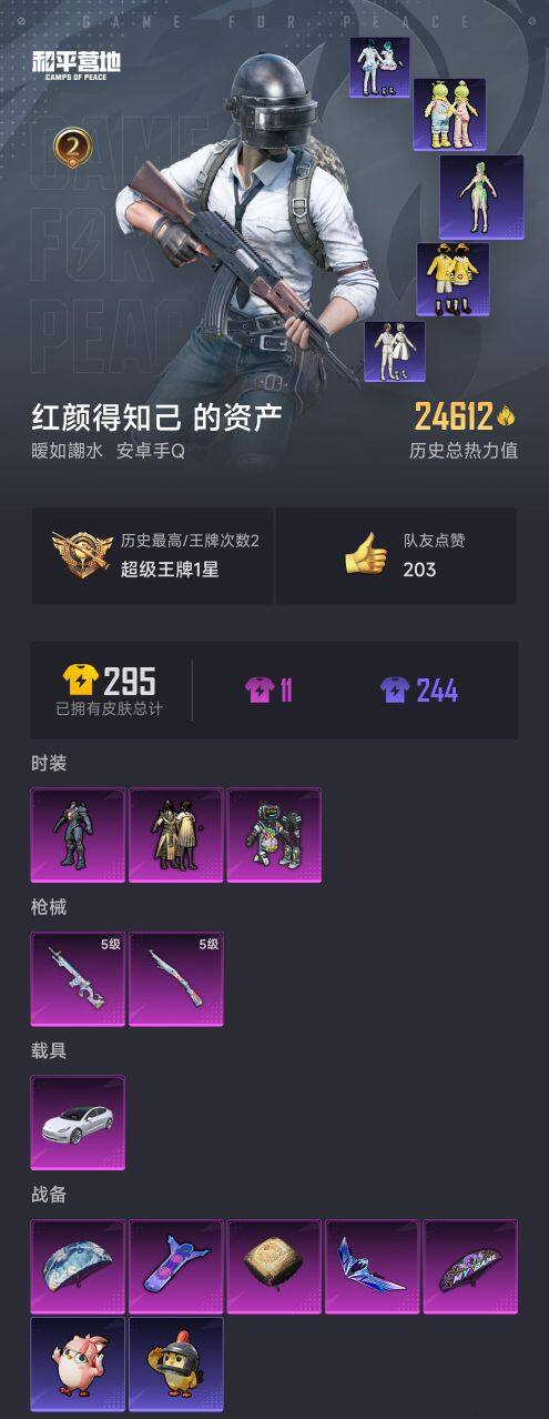 HPCMW469200和平精英账号详情图4