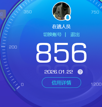 WZKG491555王者荣耀账号详情图5