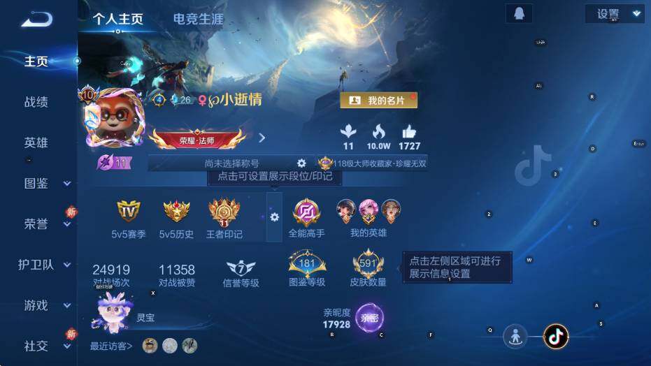 WZCMW4118994王者荣耀账号详情图13