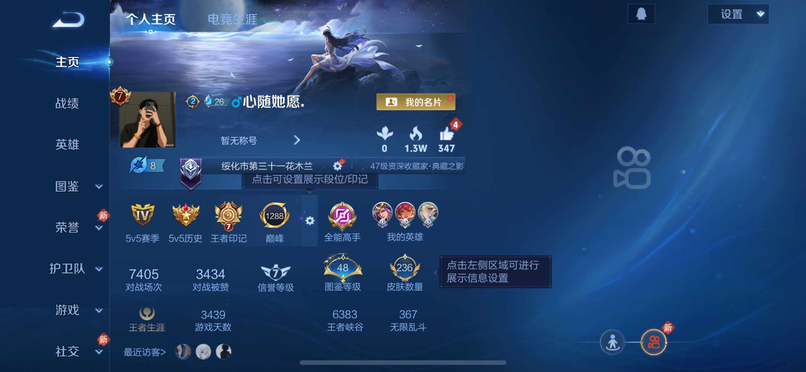 WZQM486918王者荣耀账号详情图3