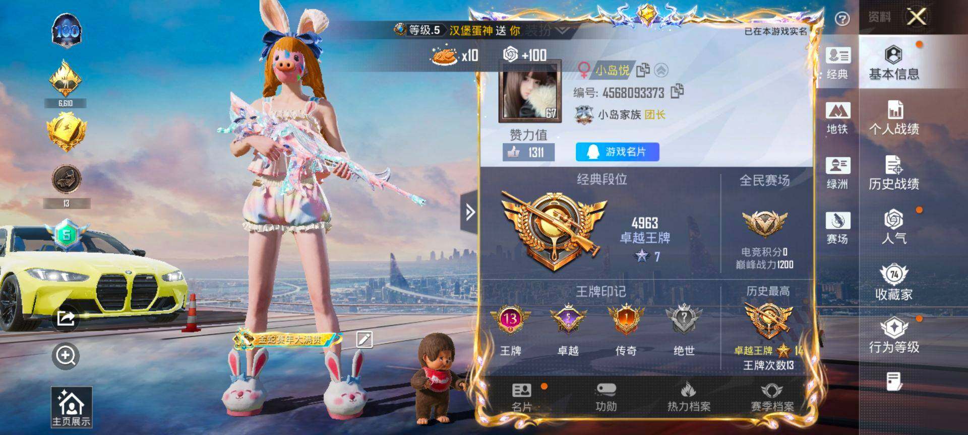 PX_2406771-可二次 安卓Q-1稀有2载具20粉装6特效枪11热门178套装242枪皮 83574热力值 精品公主号 萌兔起飞僚机 猪妹 童趣迷兔 千金淑猫 第五大道 胖达圆圆 软软