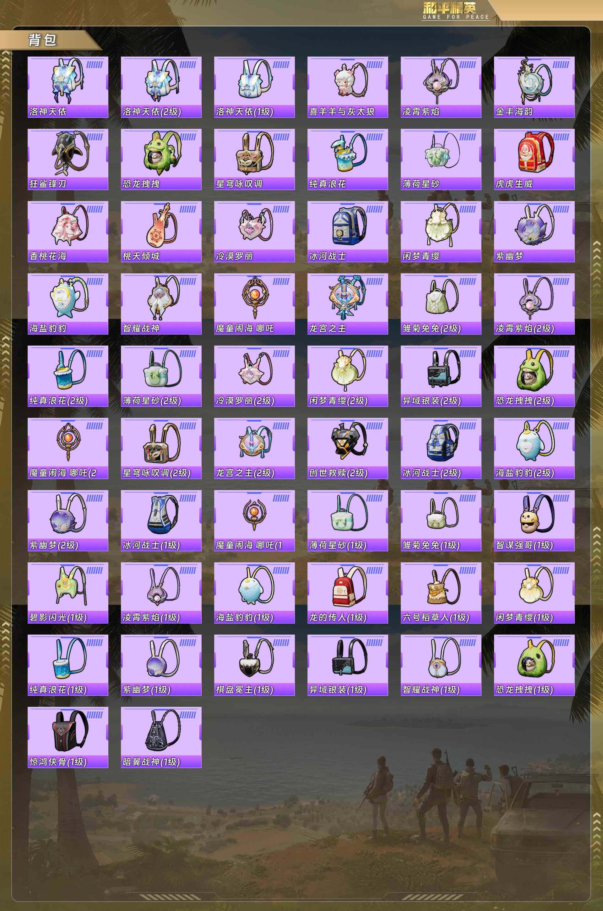 HPQM478398和平精英账号详情图7