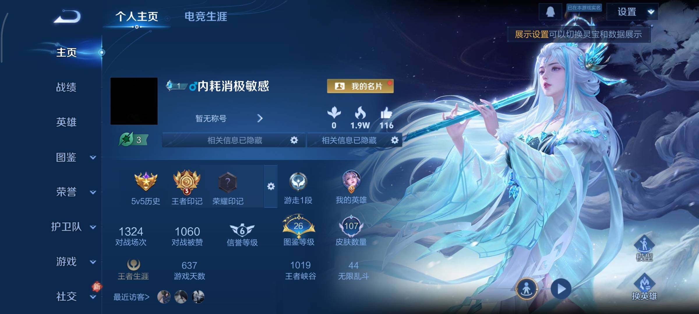 WZCMY484547王者荣耀账号详情图2