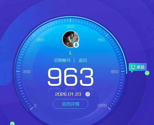 WZKG480999王者荣耀账号详情图9