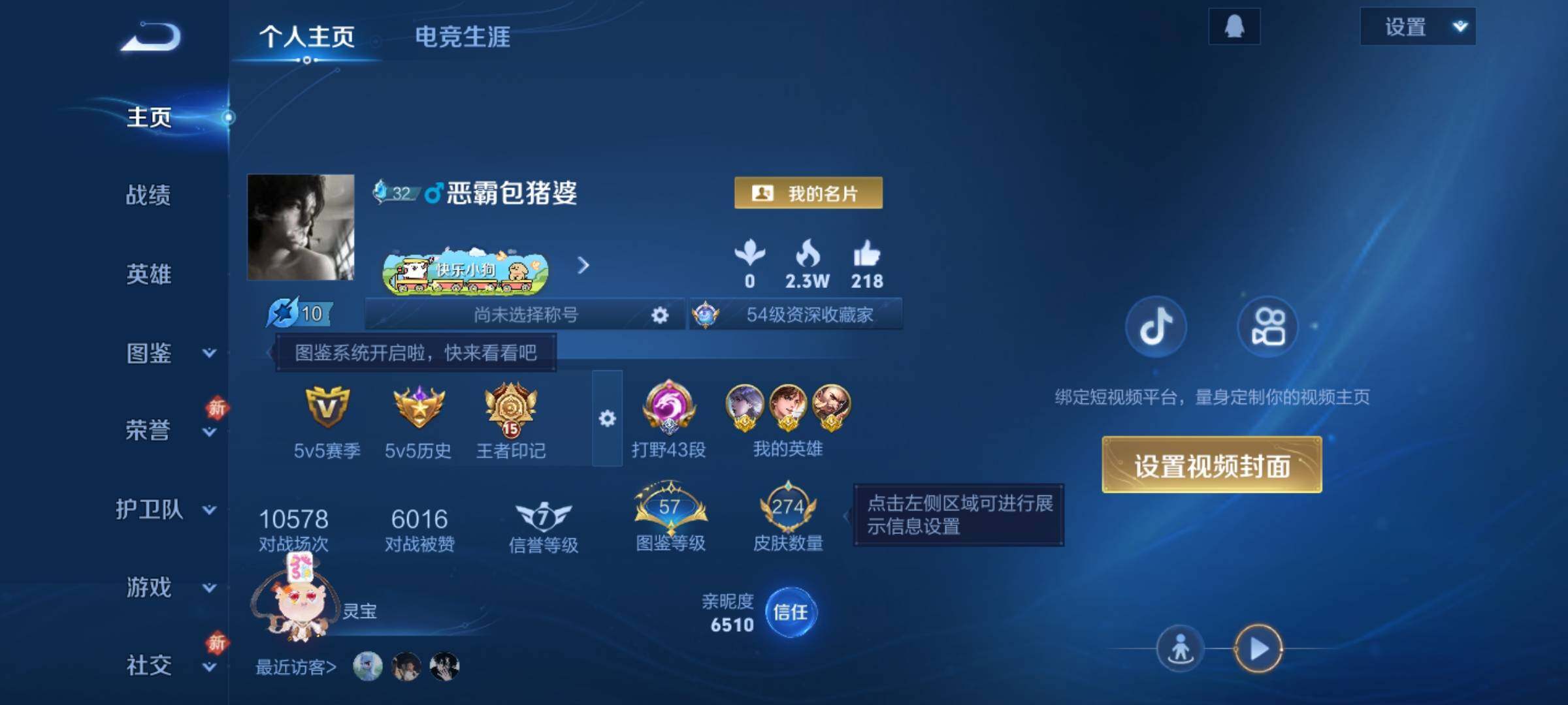 WZKG480999王者荣耀账号详情图10