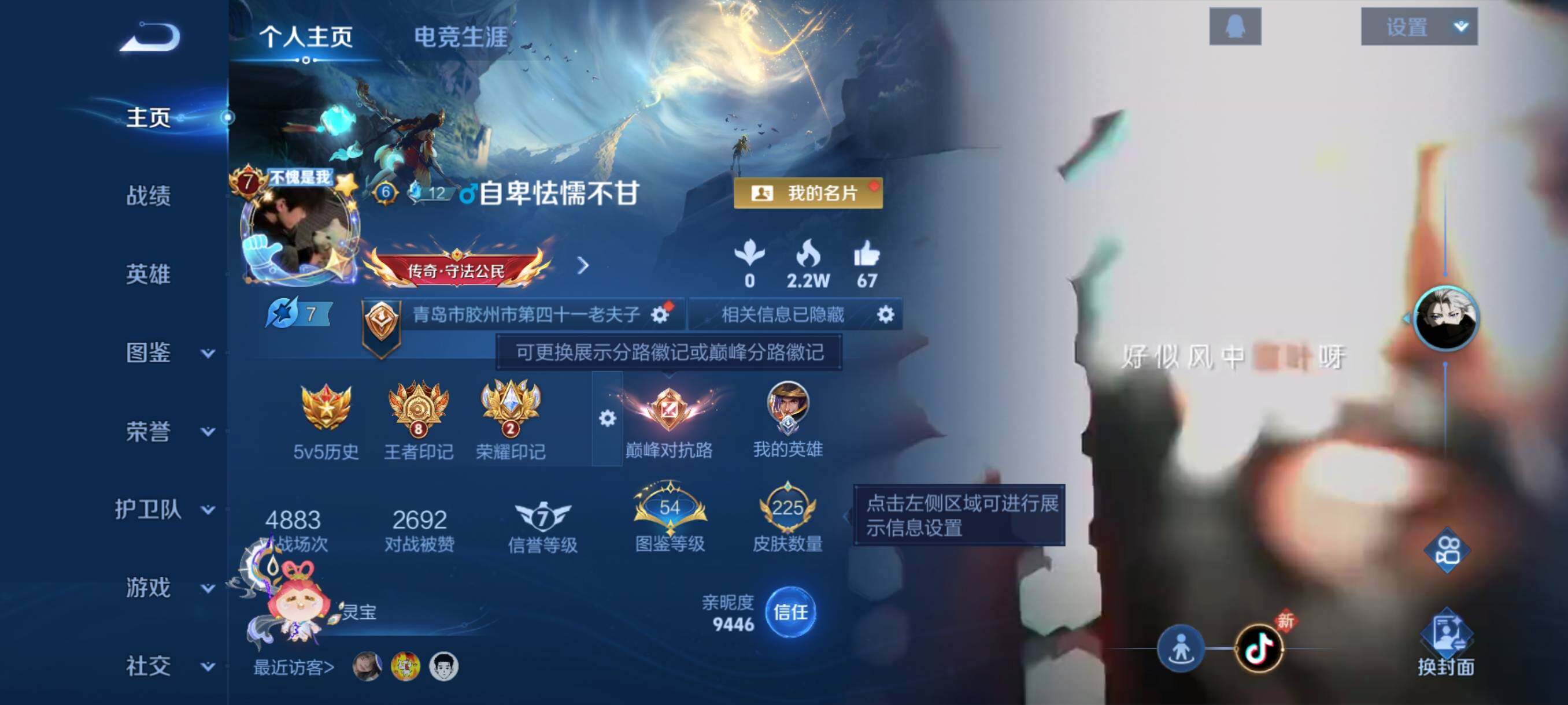 WZCMY484657王者荣耀账号详情图2