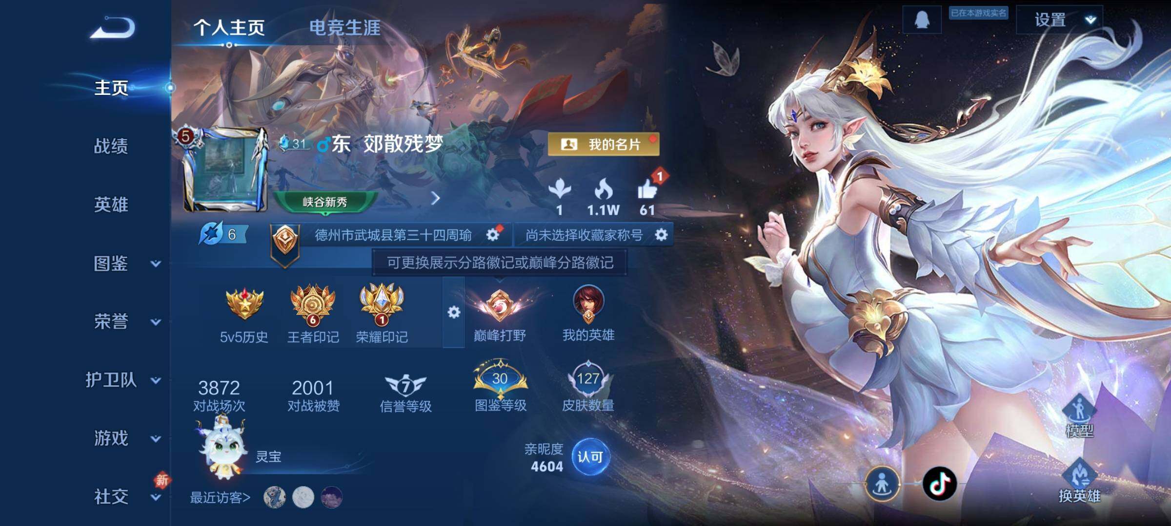 WZCMY484285王者荣耀账号详情图2