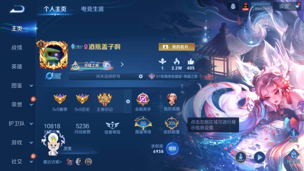 WZLX4112945王者荣耀账号详情图7