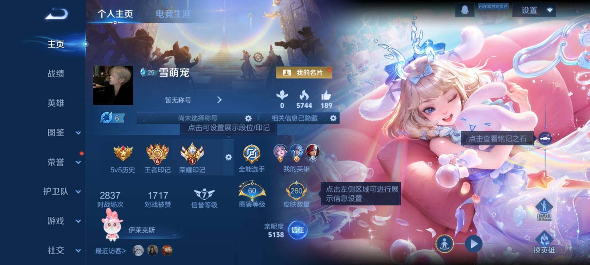 WZQM483042王者荣耀账号详情图3