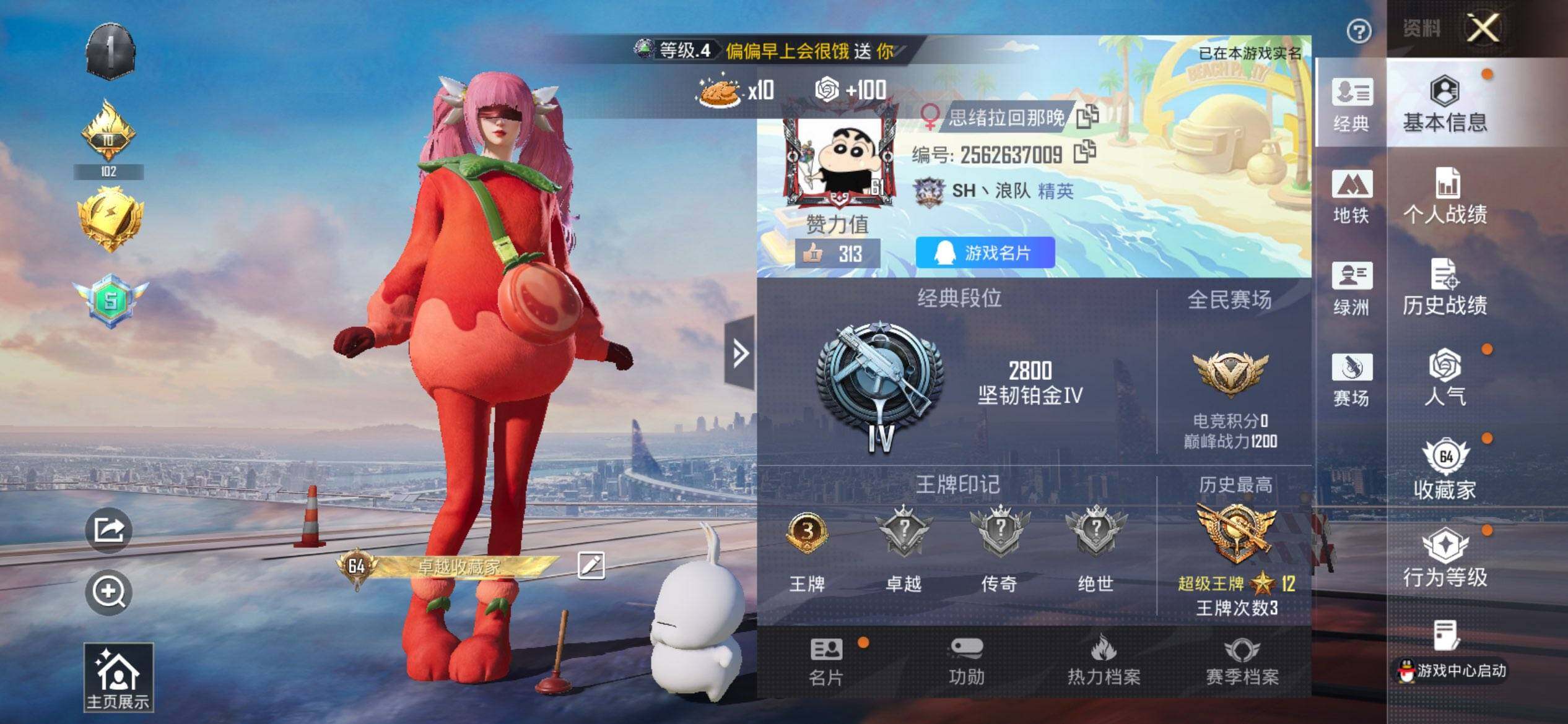 HPQM443166和平精英账号详情图3