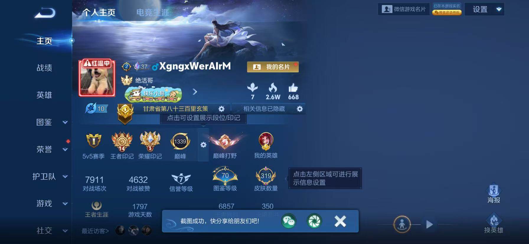 WZKG494134王者荣耀账号详情图22