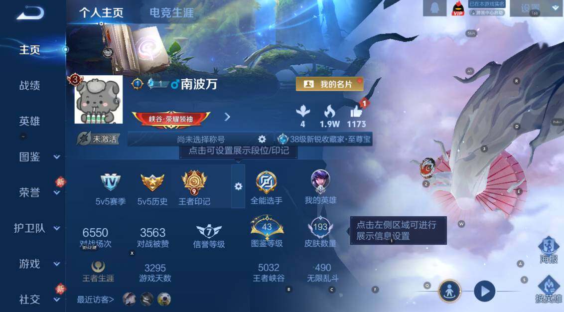 WZCMW4118945王者荣耀账号详情图11