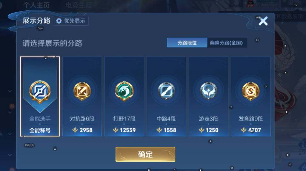 WZCMW4118945王者荣耀账号详情图13