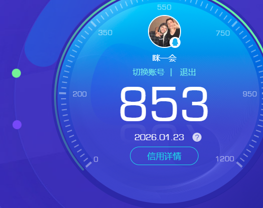 WZKG483473王者荣耀账号详情图6