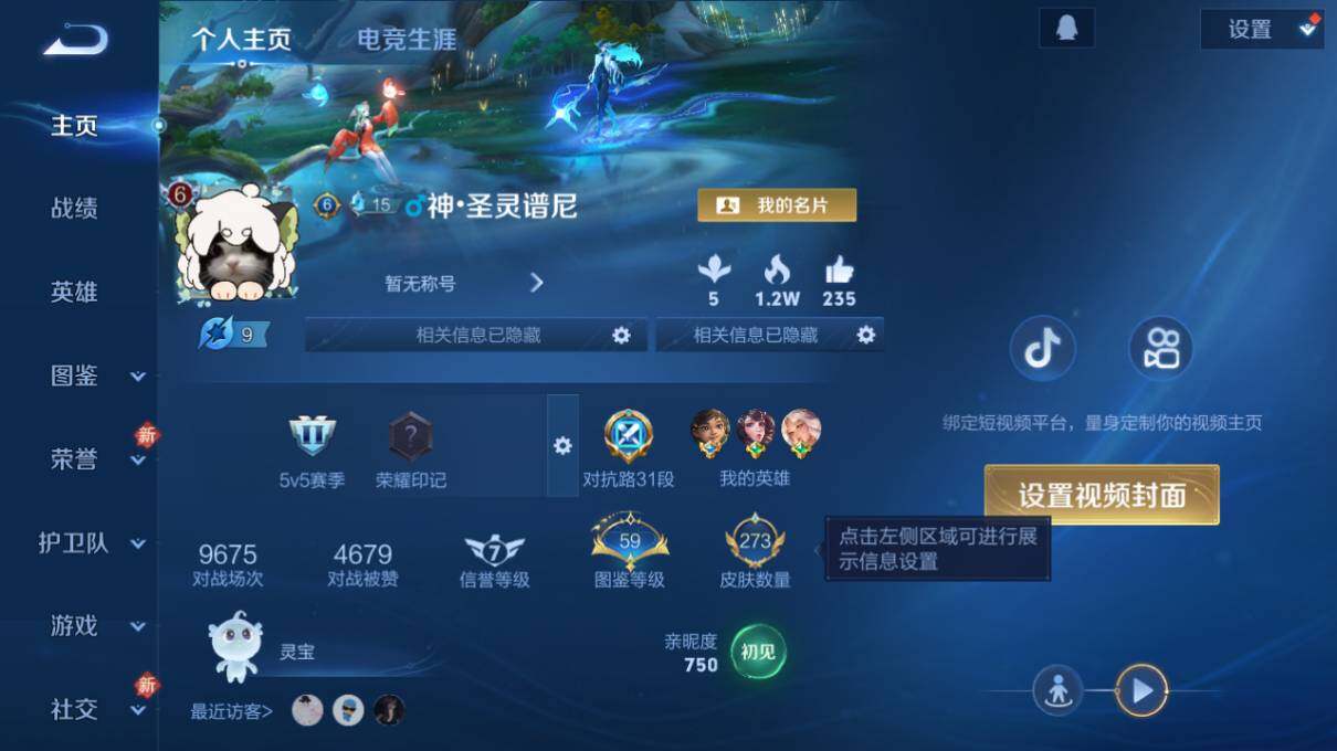 WZLX4113006王者荣耀账号详情图7