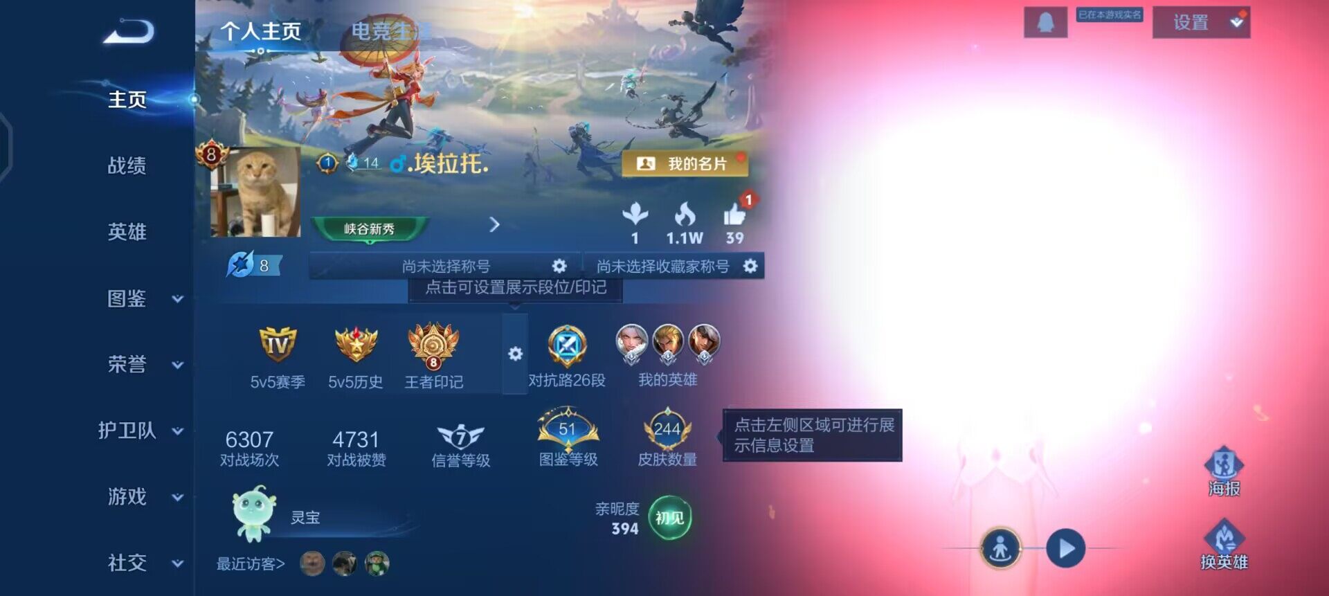 WZQM4123323王者荣耀账号详情图3