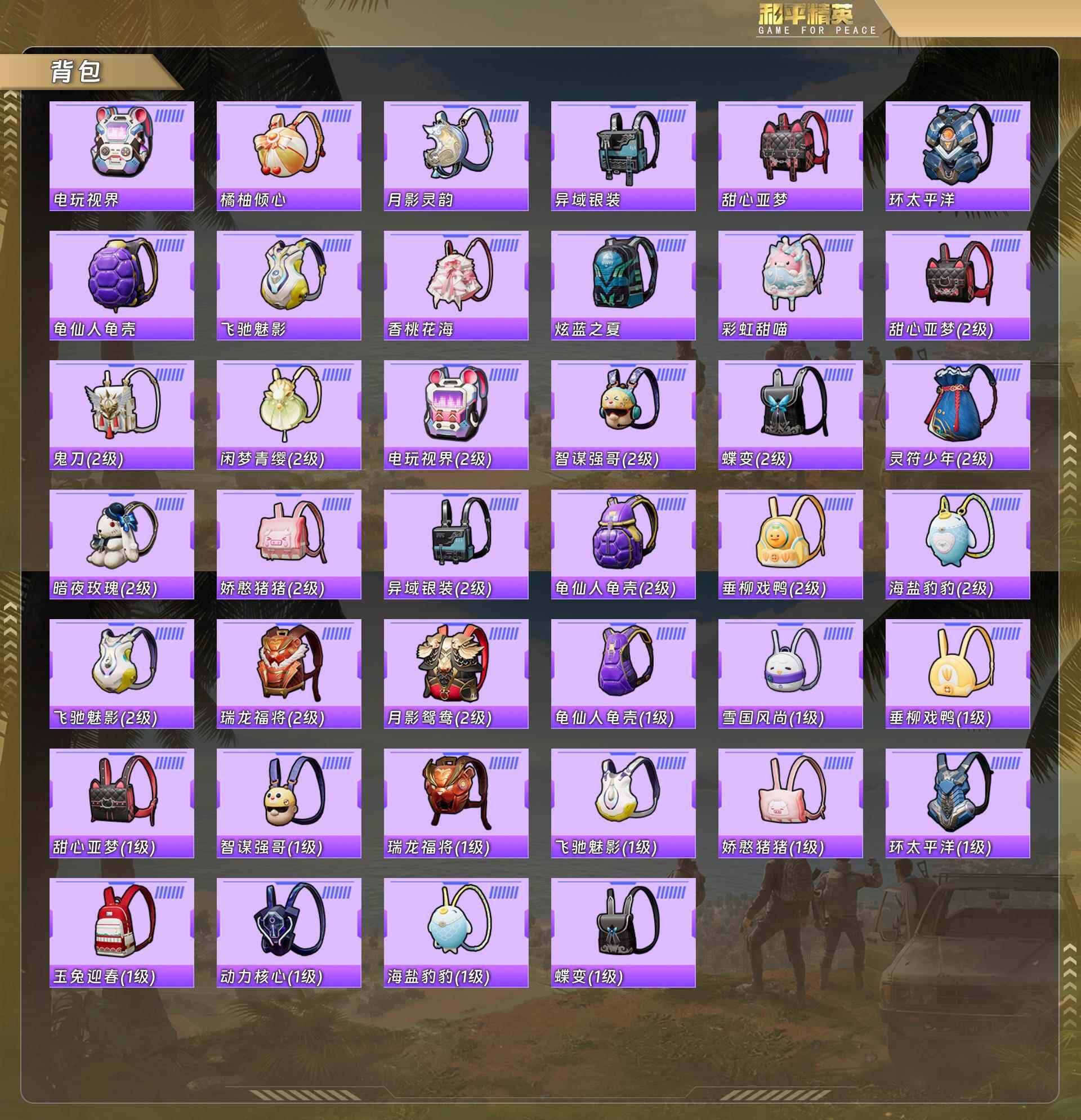 HPQM478466和平精英账号详情图10