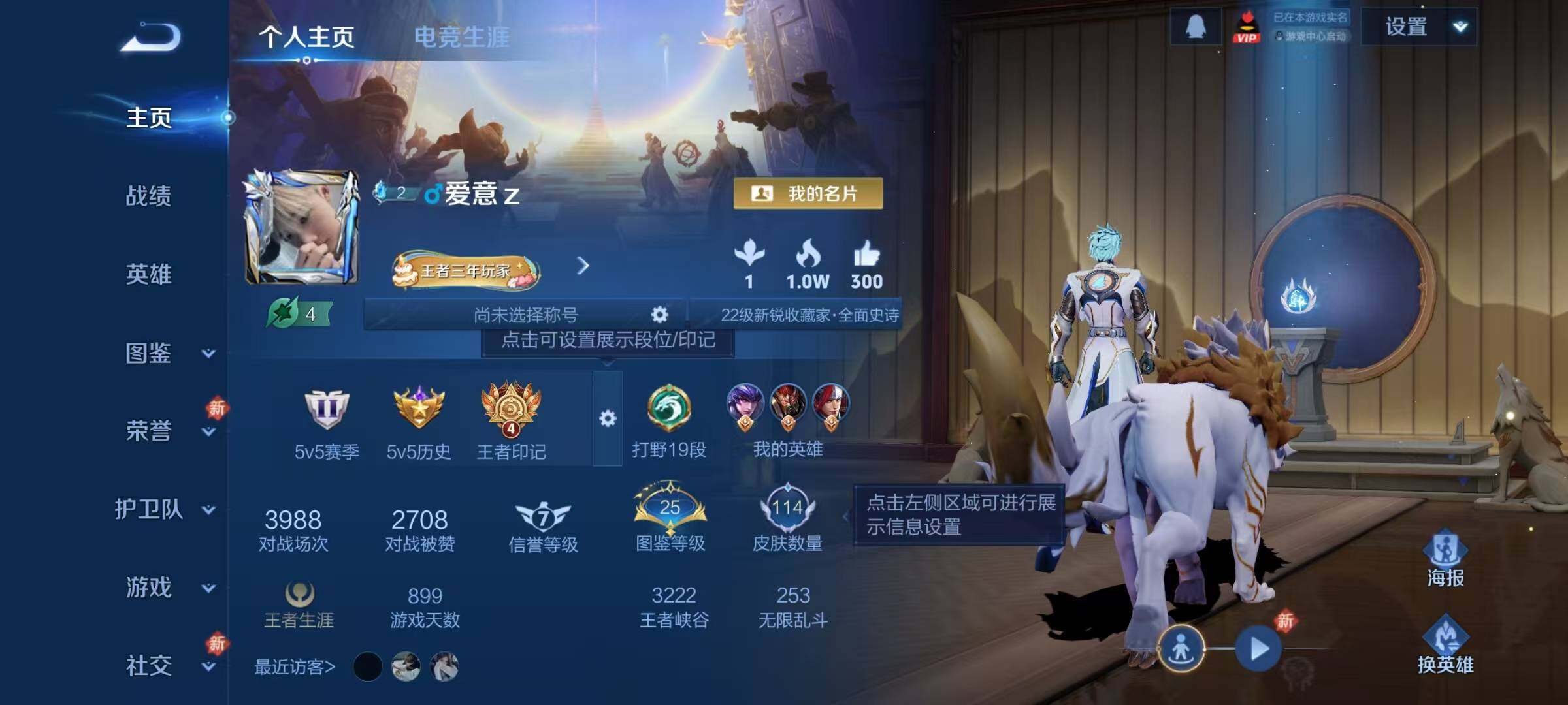 WZJZ496283王者荣耀账号详情图4