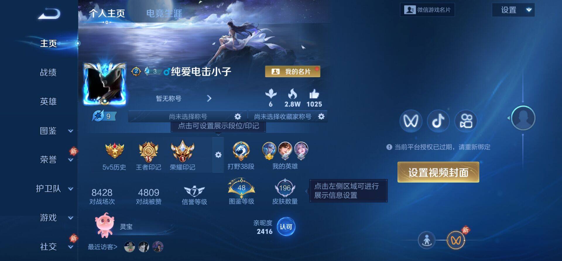 WZKG485205王者荣耀账号详情图10