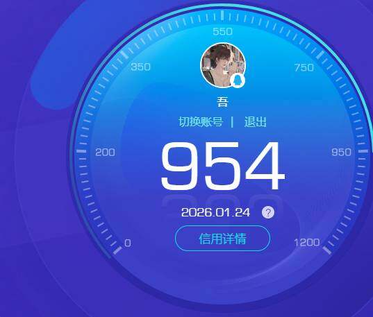 WZKG497374王者荣耀账号详情图4