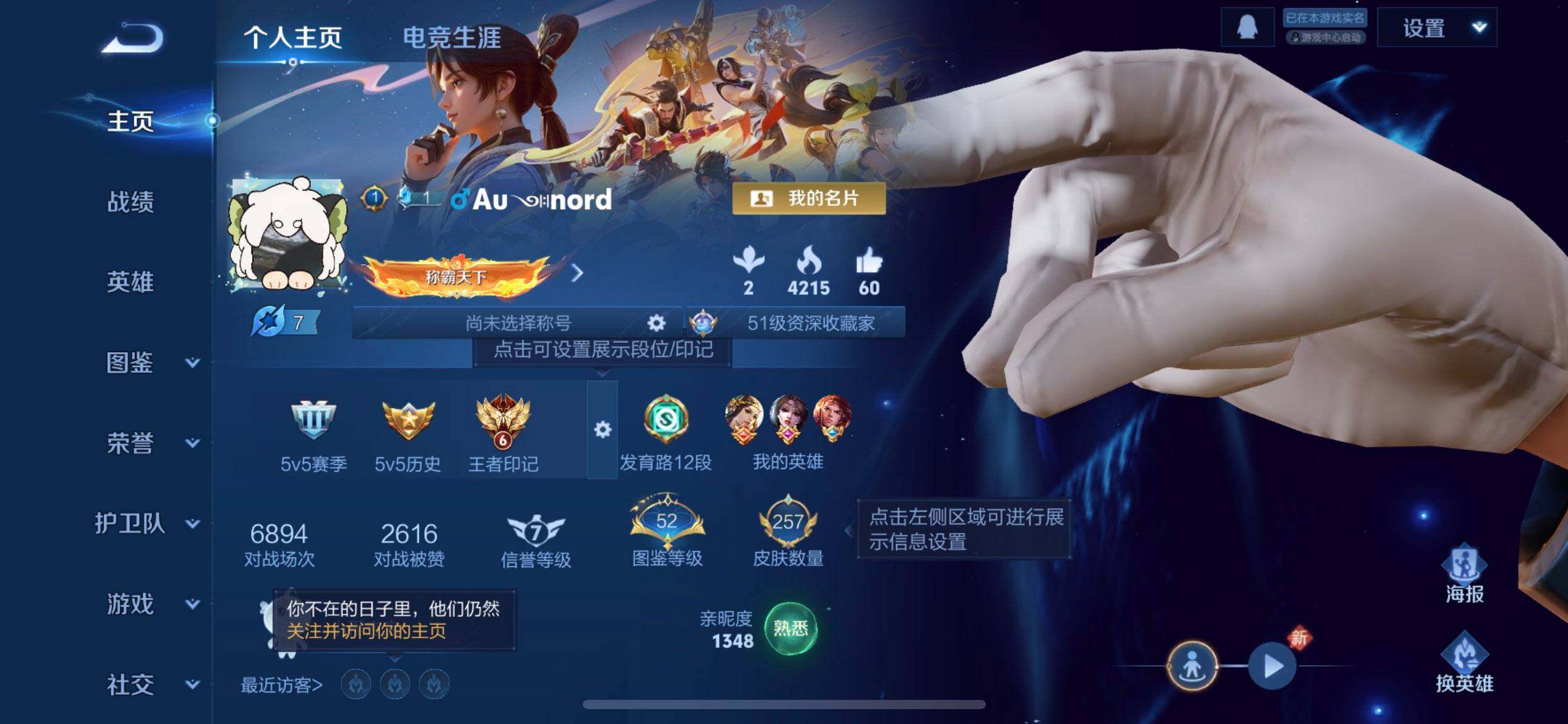 WZQM494291王者荣耀账号详情图3