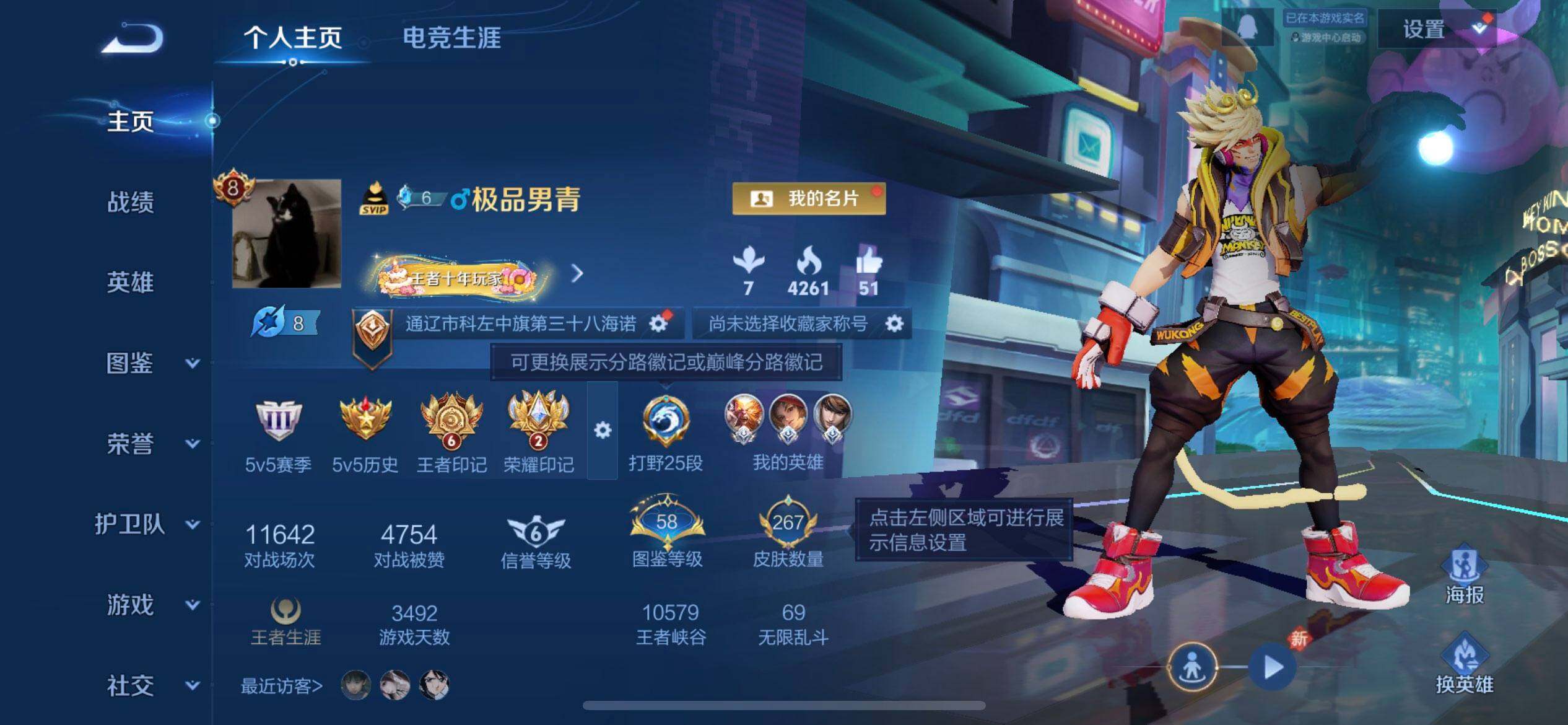 WZQM4104267王者荣耀账号详情图3