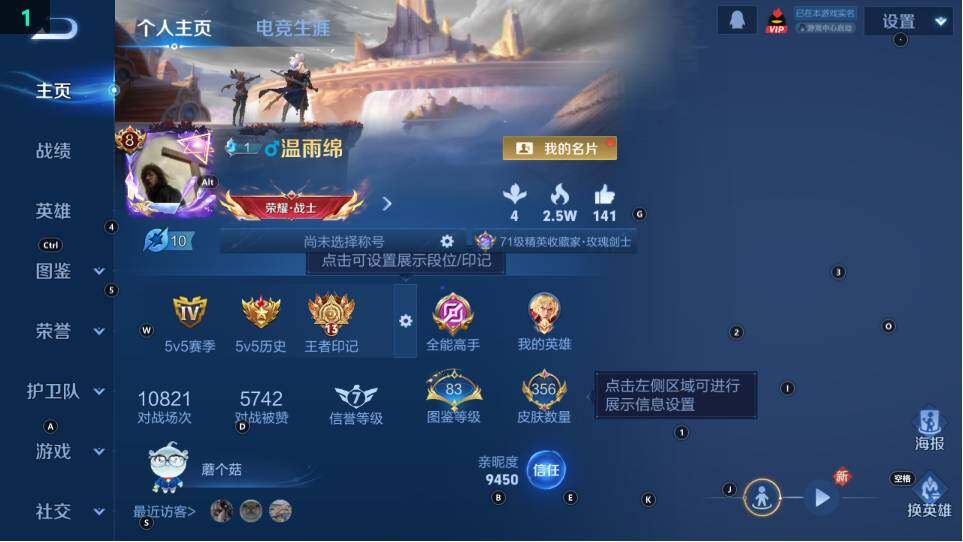 WZ03490139王者荣耀账号详情图9