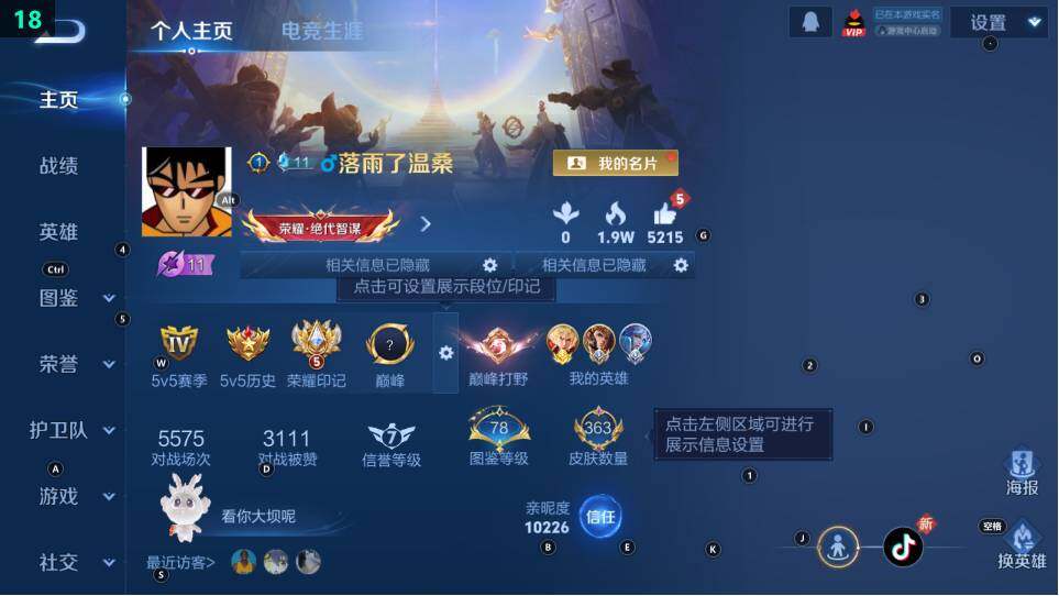 WZ03490137王者荣耀账号详情图9