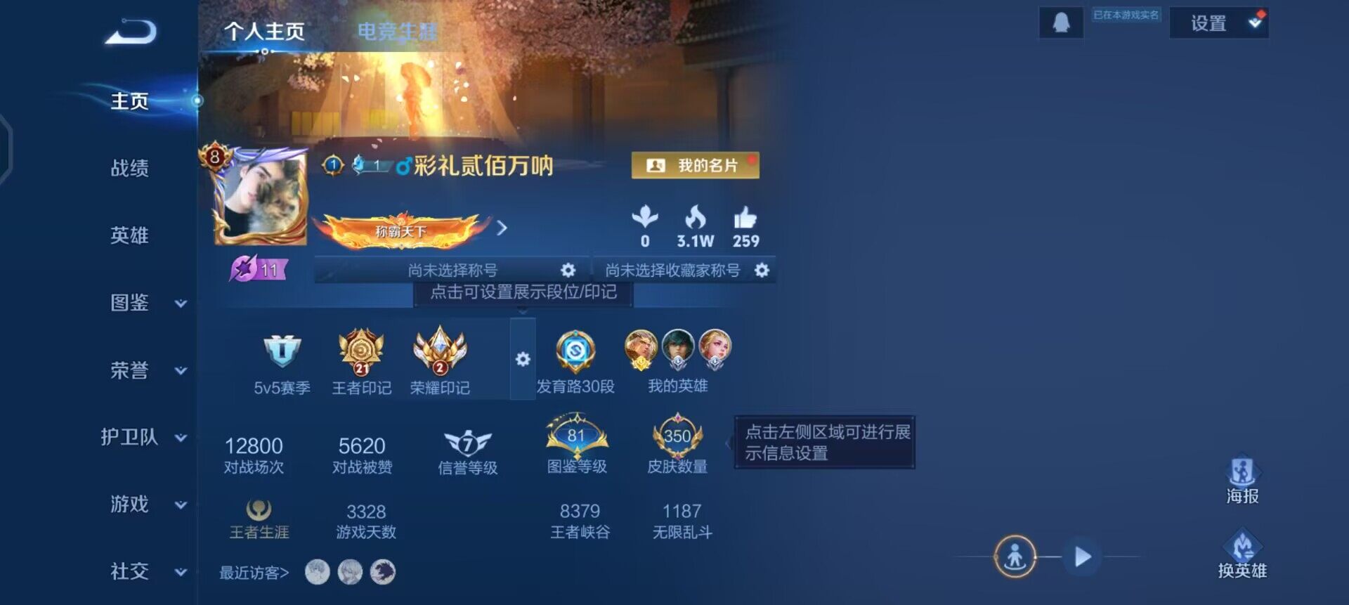 WZQM490368王者荣耀账号详情图3