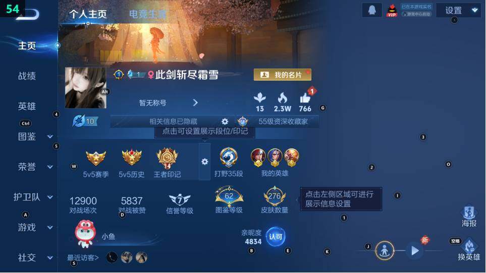 WZ03490132王者荣耀账号详情图8 WZ03490132王者荣耀账号详情图8