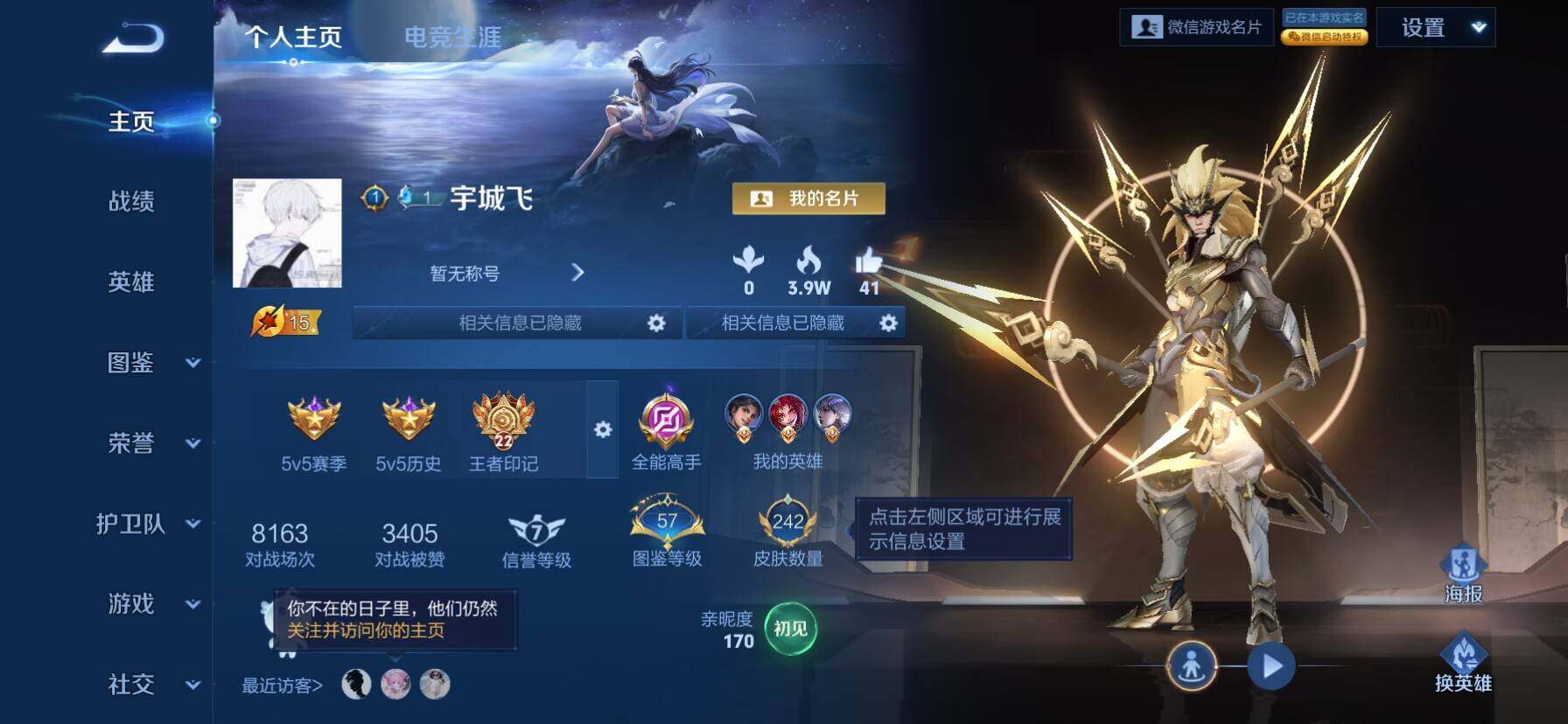 WZKG488271王者荣耀账号详情图18