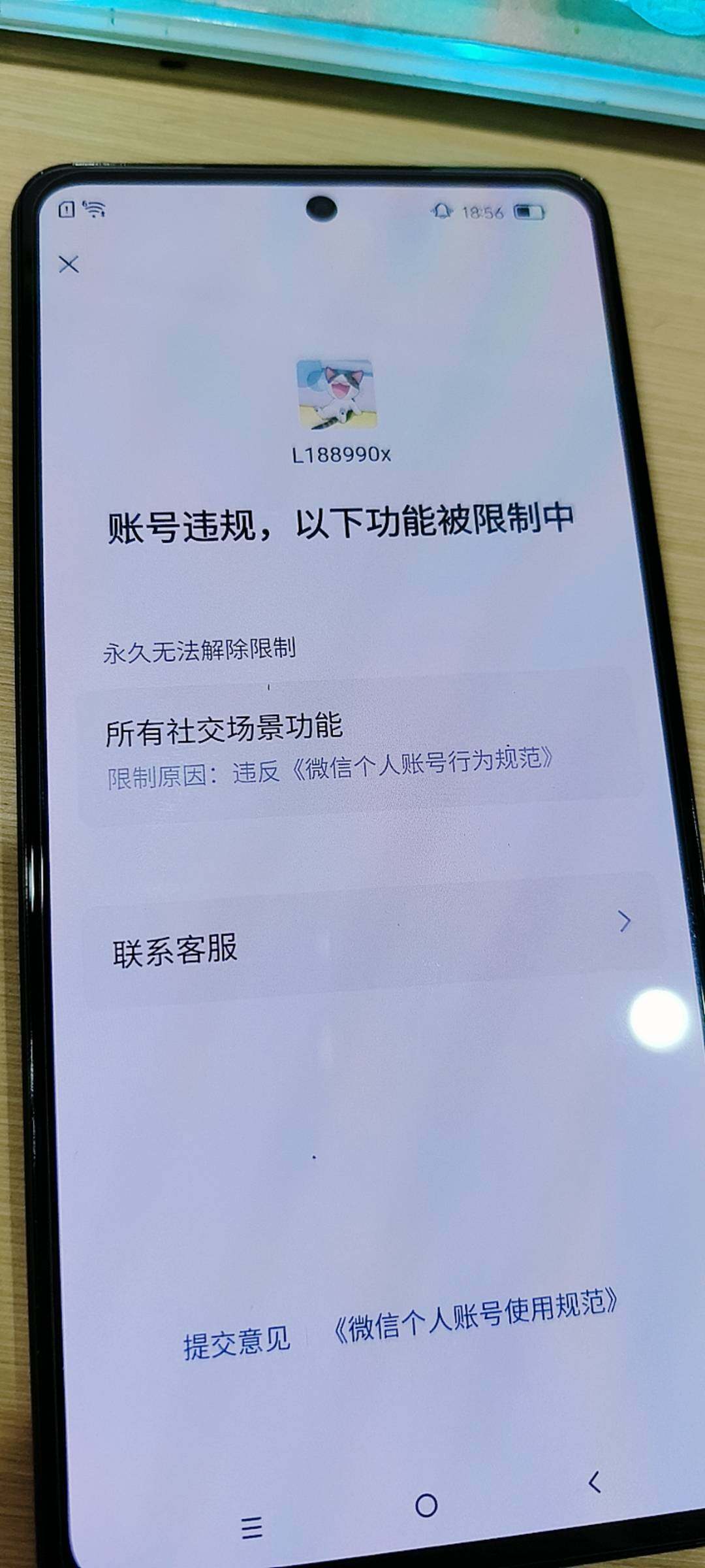 WZKG488285王者荣耀账号详情图11