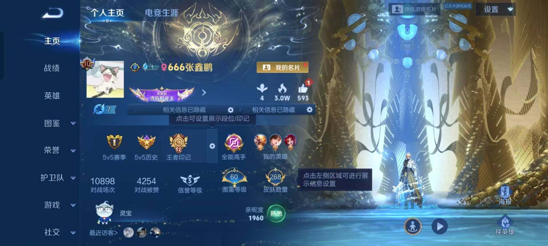 WZKG488285王者荣耀账号详情图16