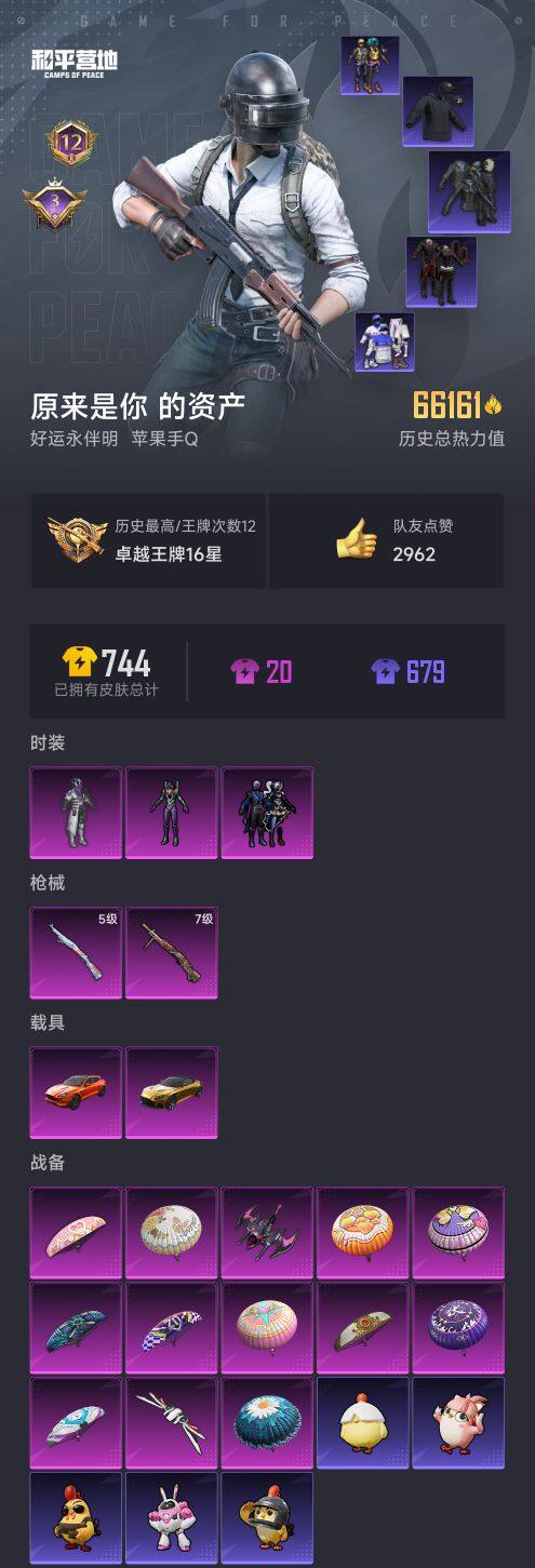 HPCMW446989和平精英账号详情图6