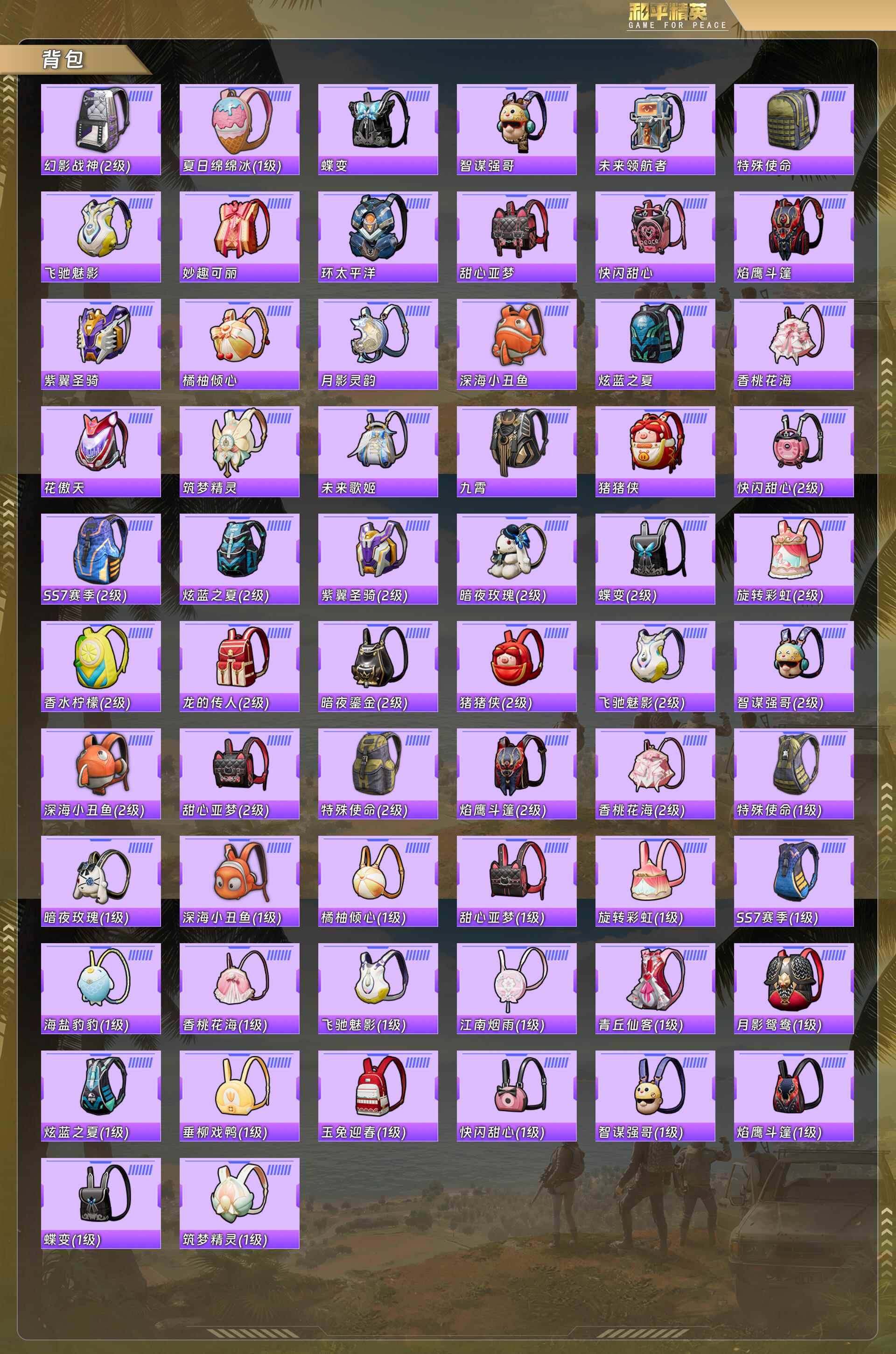 HPQM478541和平精英账号详情图10