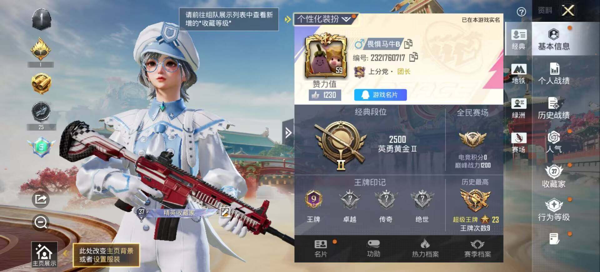 HPQM478527和平精英账号详情图3