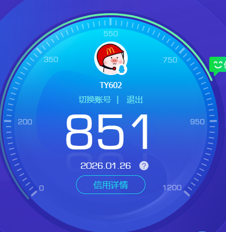 WZKG490826王者荣耀账号详情图6