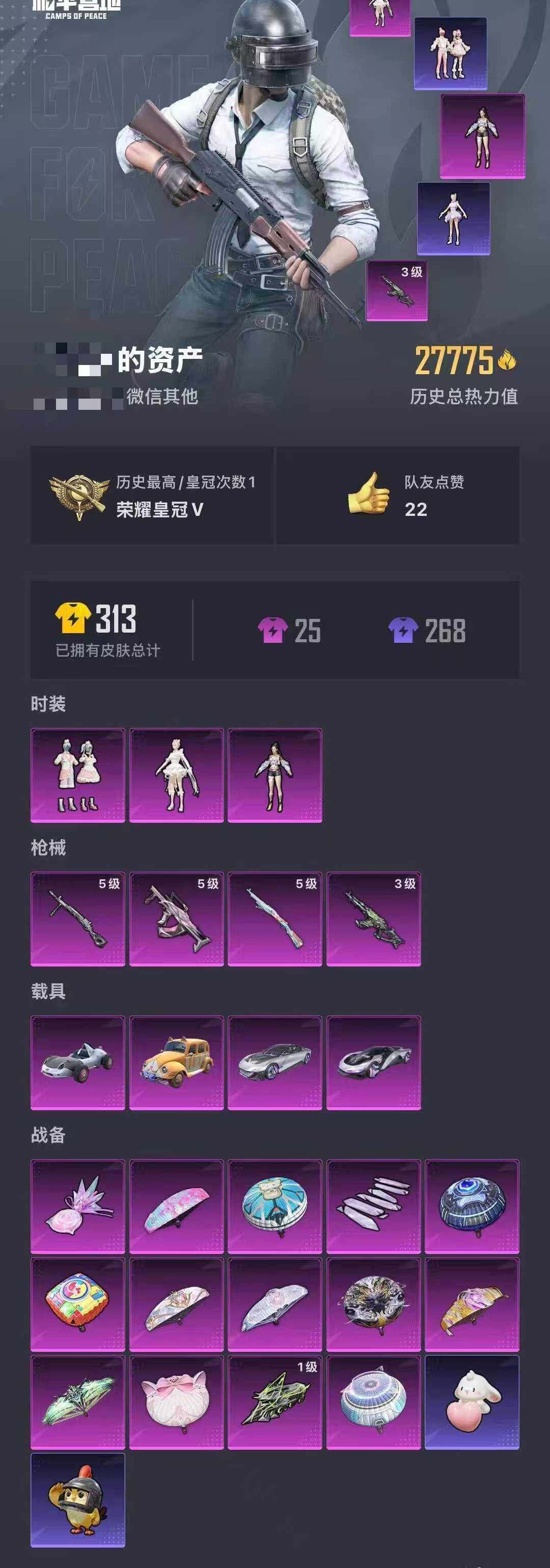 HPQM448236和平精英账号详情图5