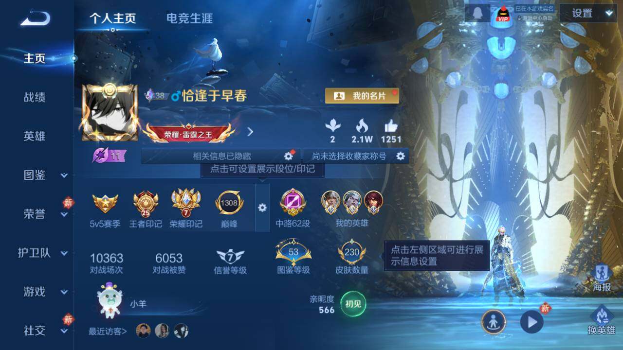 WZEY4350194王者荣耀账号详情图13
