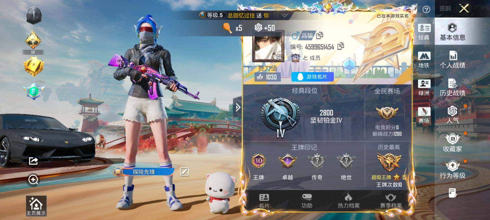 HPQM447272和平精英账号详情图3