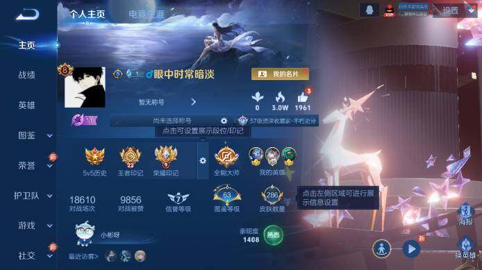 WZ03492115王者荣耀账号详情图8 WZ03492115王者荣耀账号详情图8