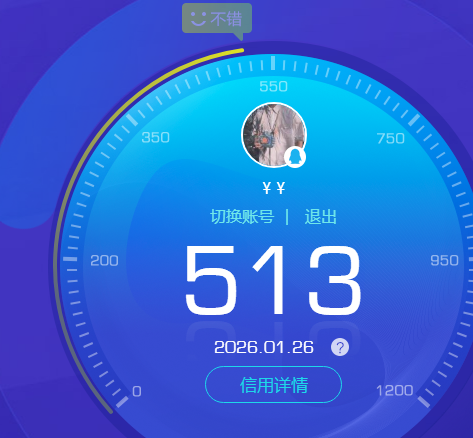 WZKG491338王者荣耀账号详情图5