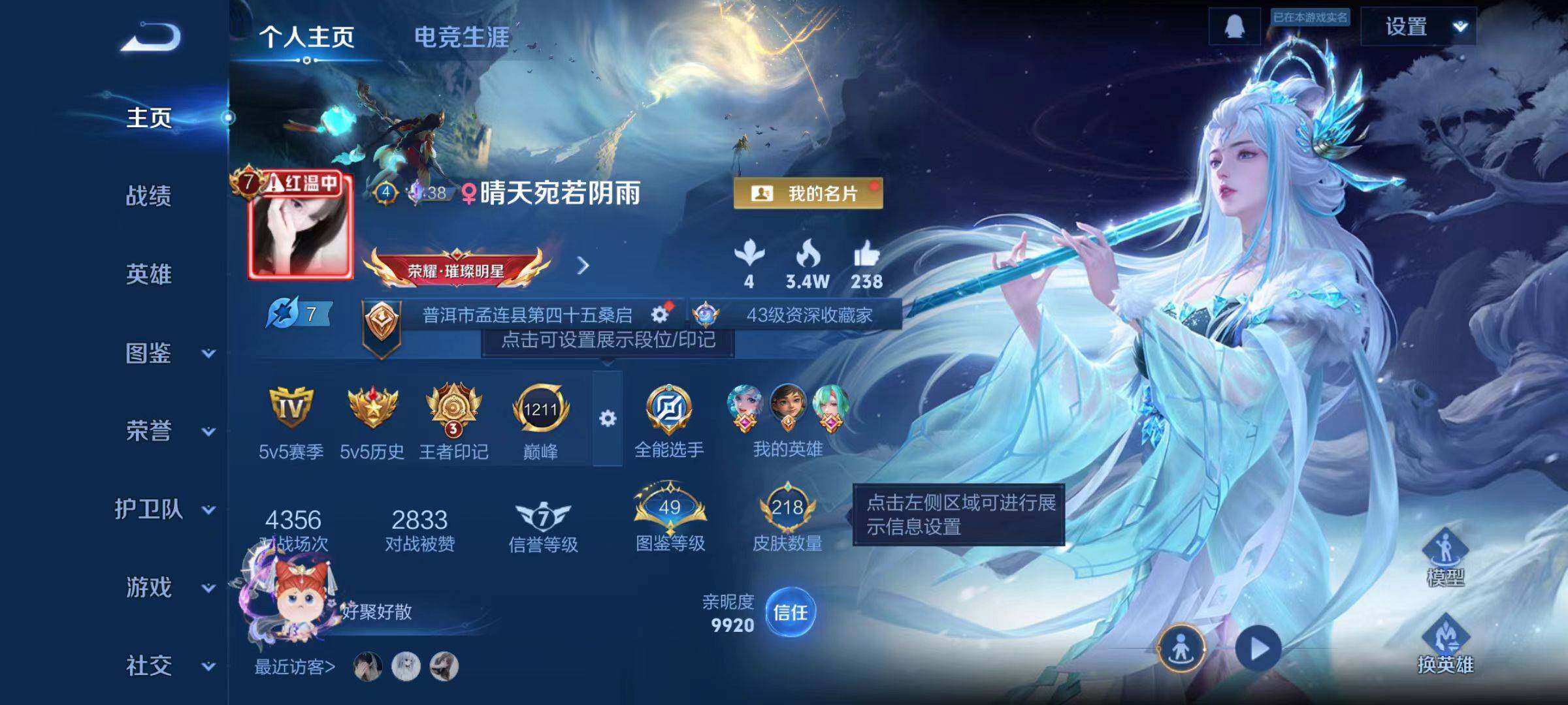 WZCMW491435王者荣耀账号详情图5