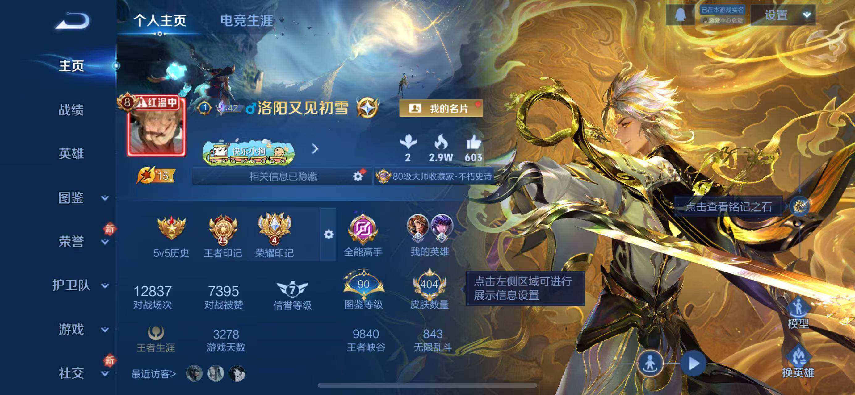 WZQM493195王者荣耀账号详情图6