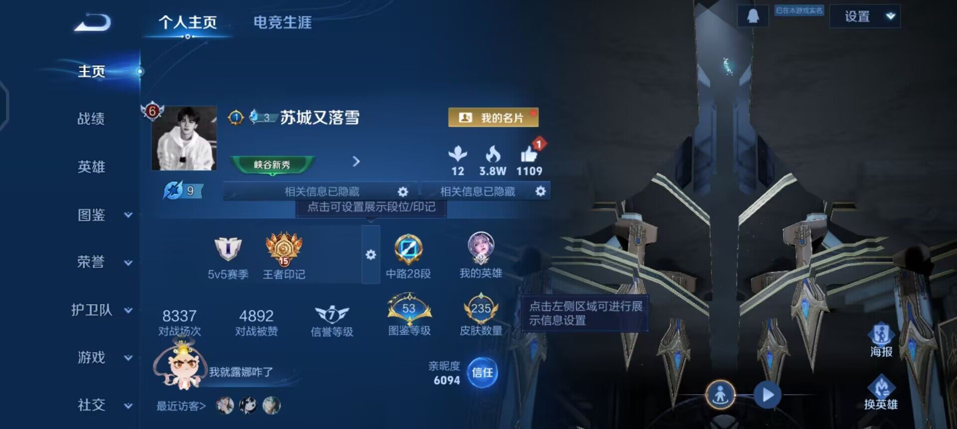 WZQM494287王者荣耀账号详情图3 WZQM494287王者荣耀账号详情图3