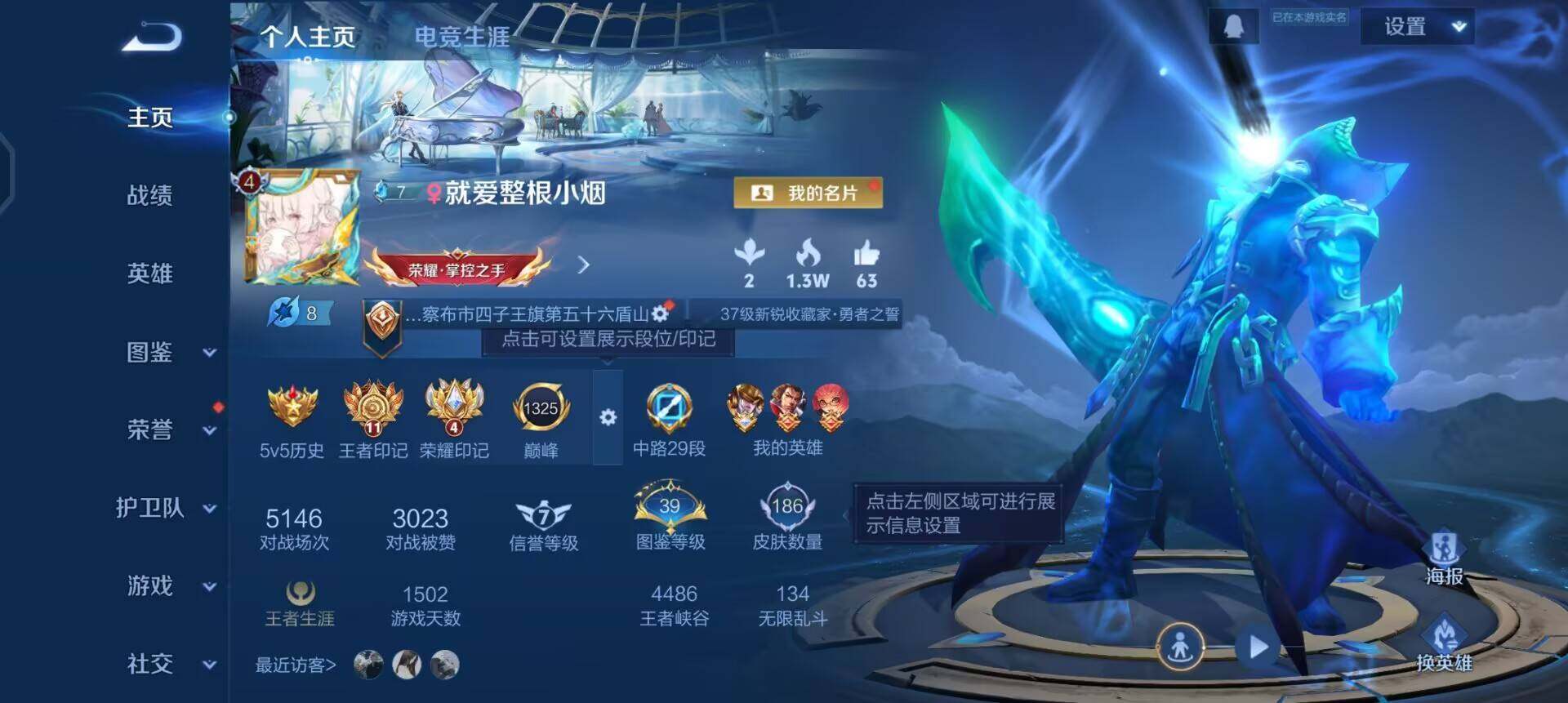 WZQM497852王者荣耀账号详情图3