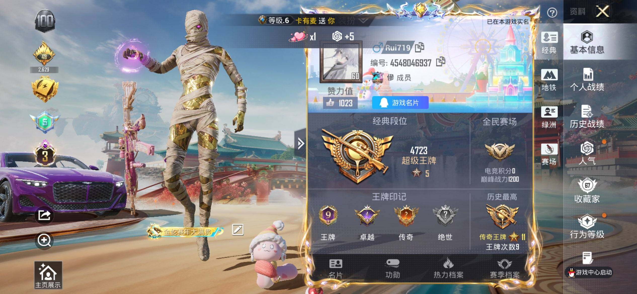 HPQM448512和平精英账号详情图3