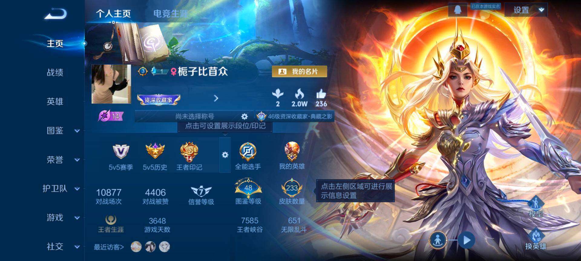 WZQM493562王者荣耀账号详情图3